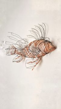 Pesce scorpione