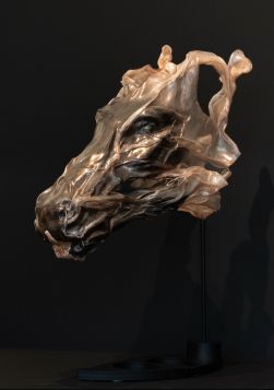 Cavallo nero nel vento